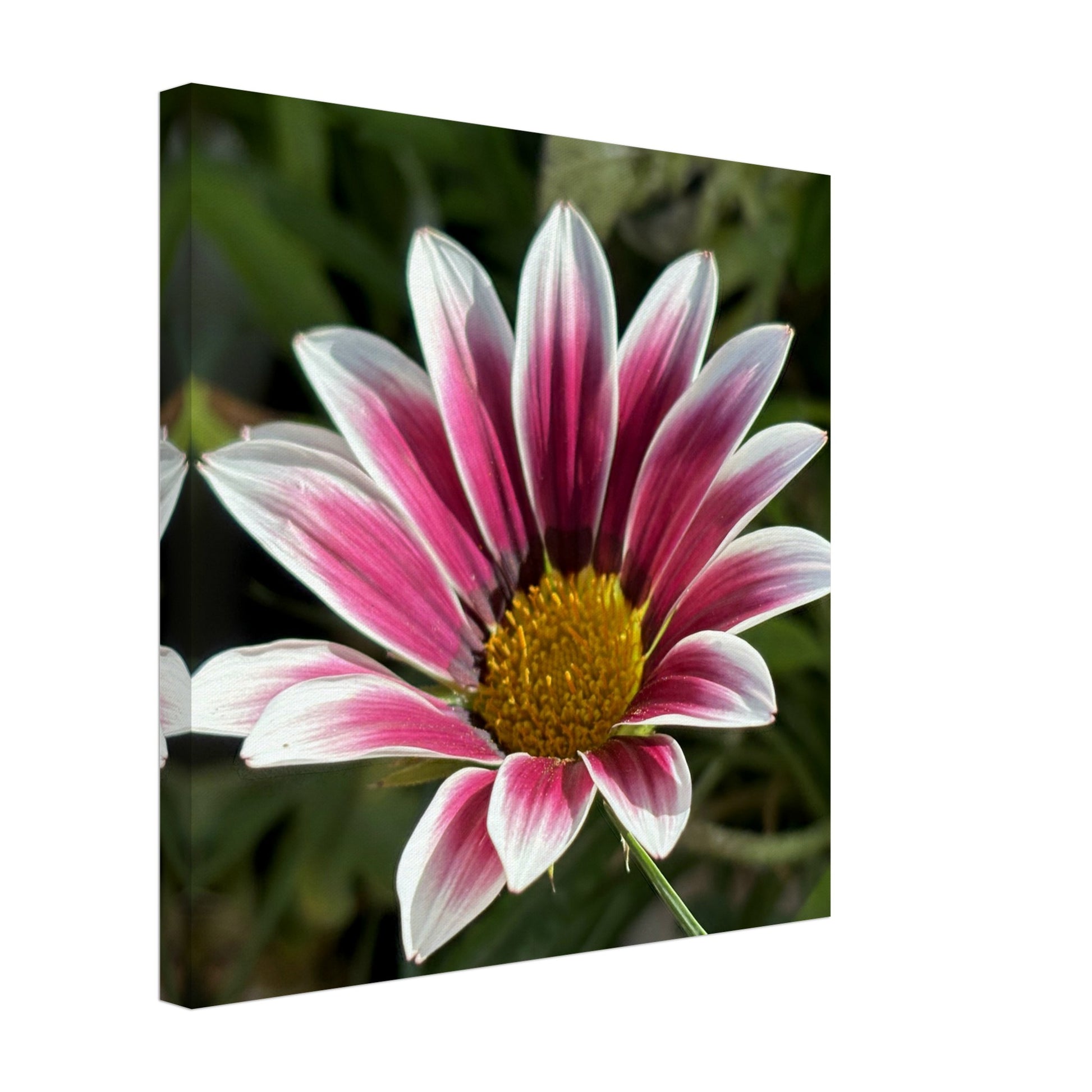 0b9e32bf-e528-486b-9894-6ba4993eb30a