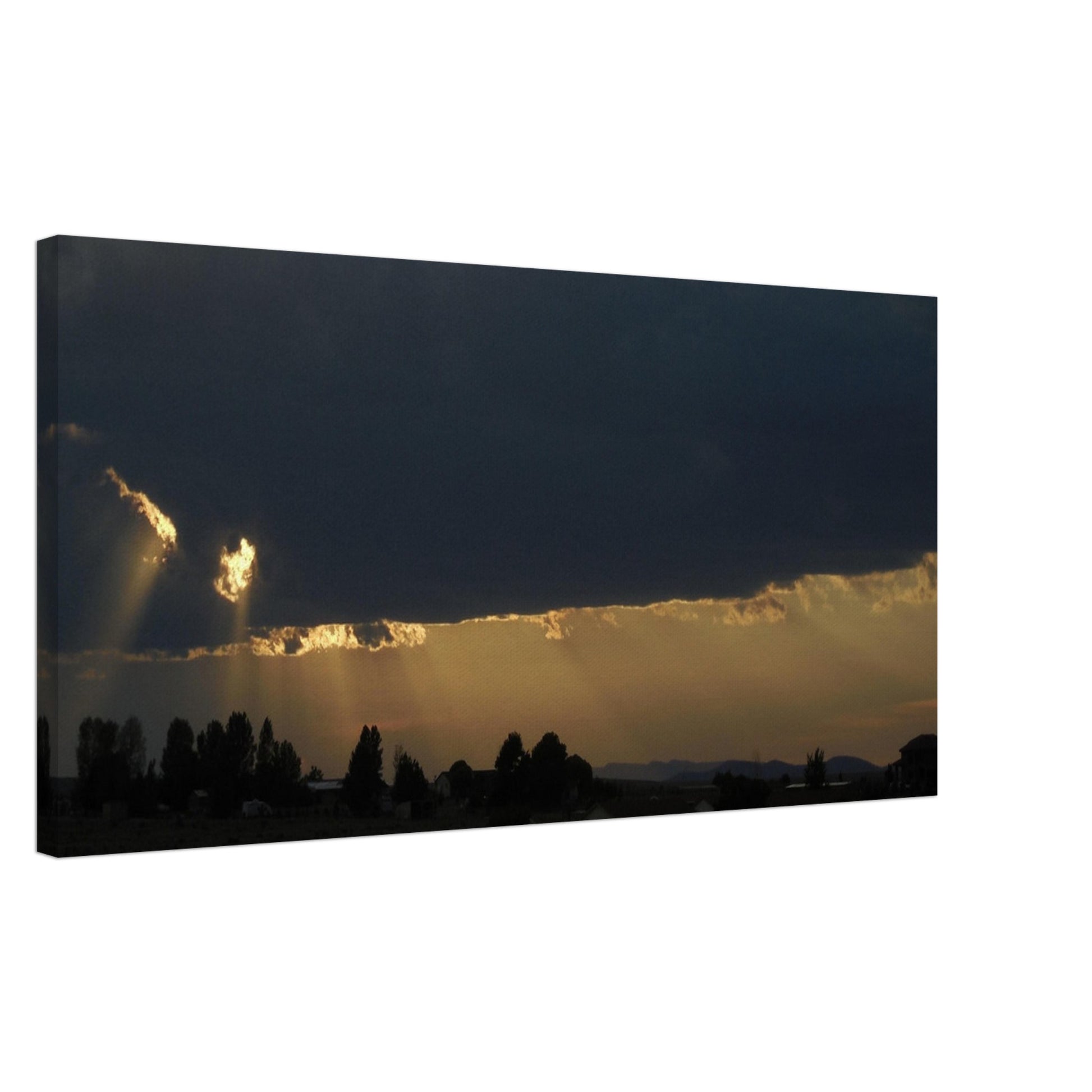 0c9df5d8-4079-40da-80de-37b26f8d511c