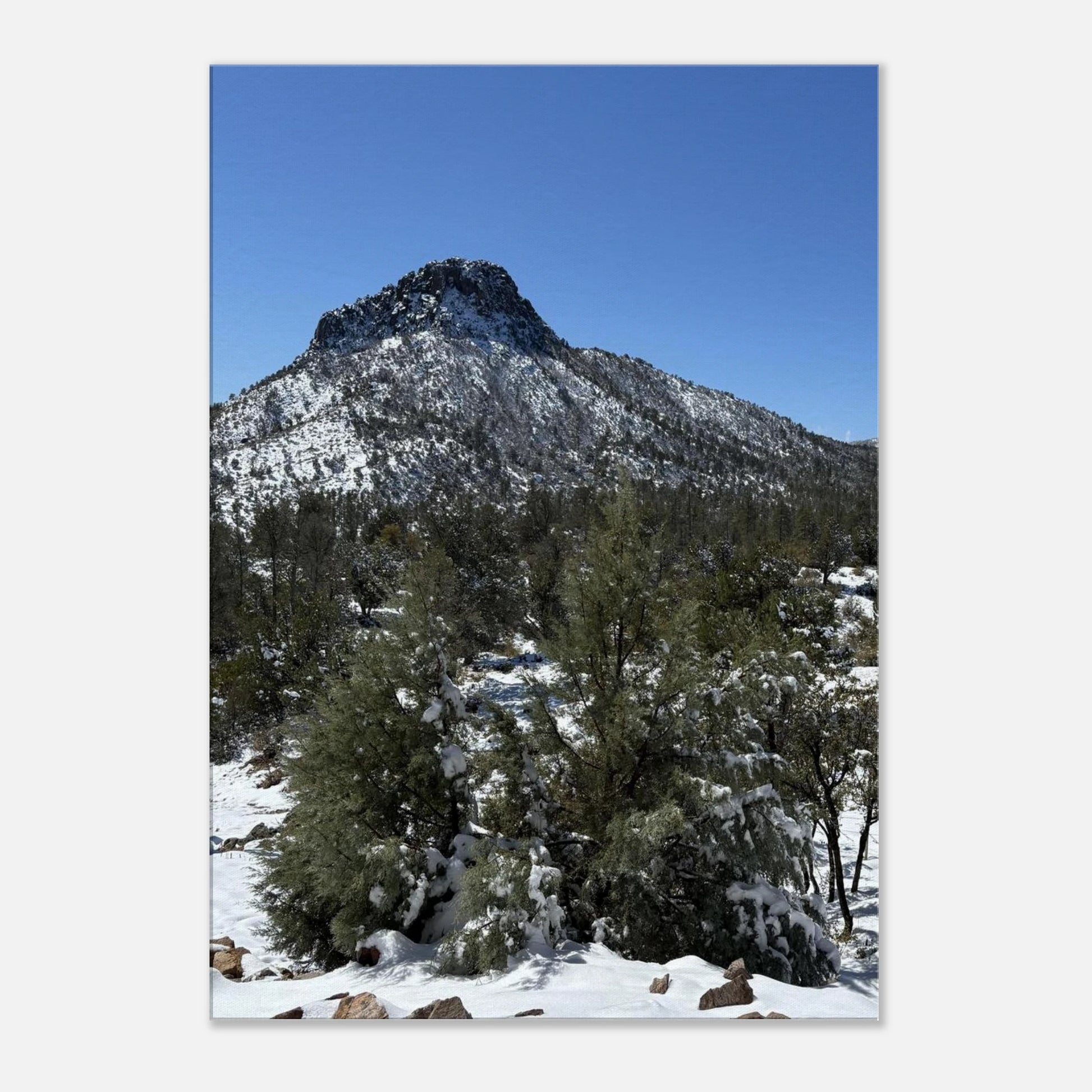 2356580e-0e6b-4b39-8d5d-bd16720e01a9