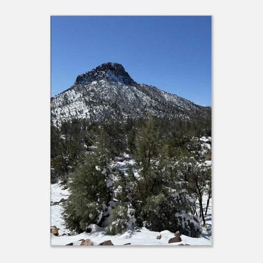 2356580e-0e6b-4b39-8d5d-bd16720e01a9