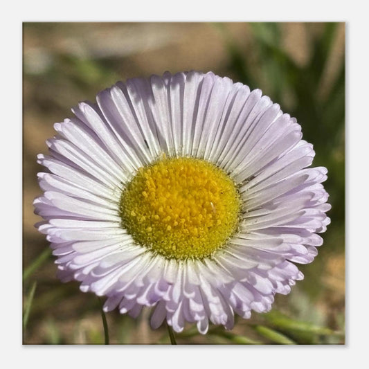 2f035c24-a995-4122-bcb9-d08fe4daa66d