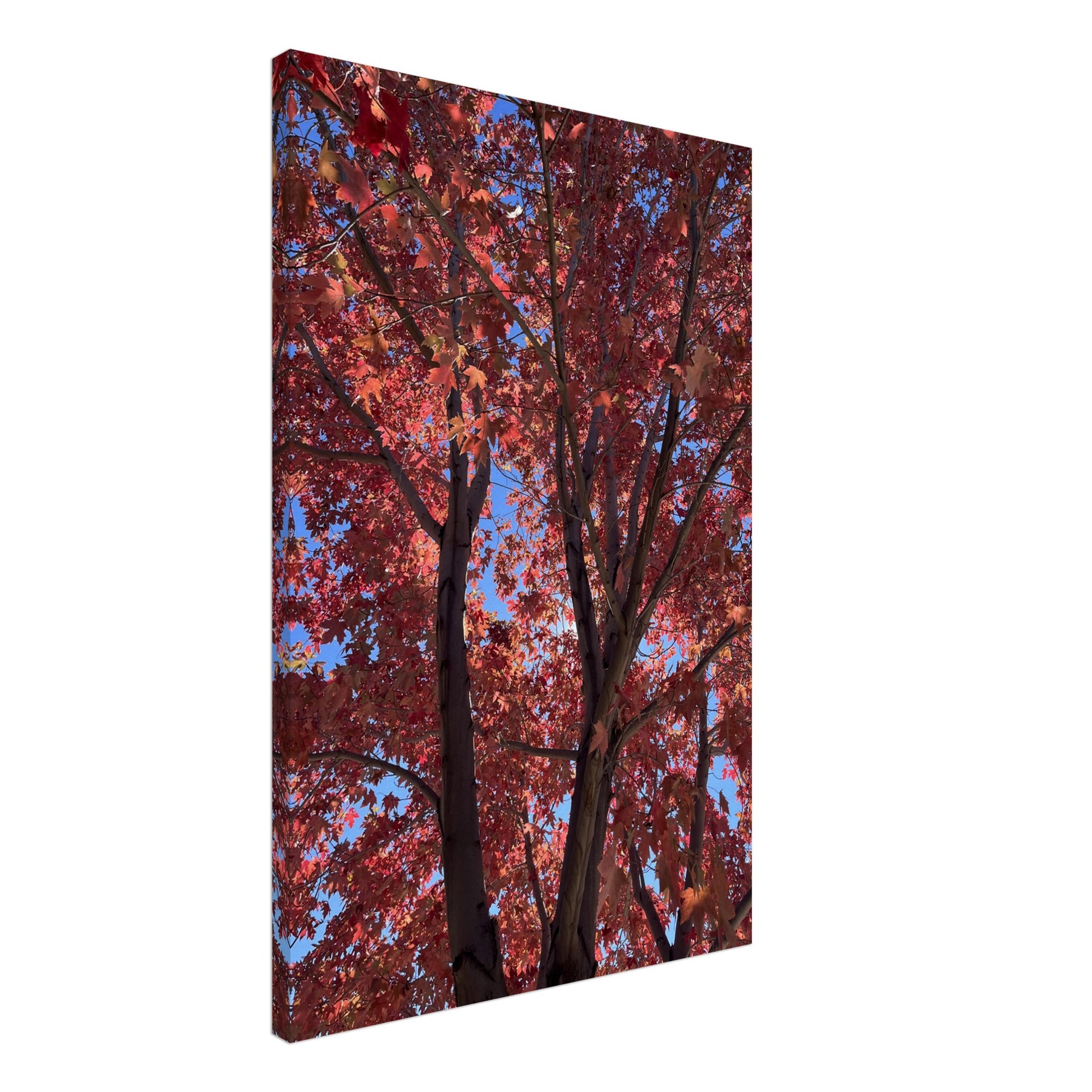 4107b0a0-21ea-425c-a2ed-1c941bfd805a