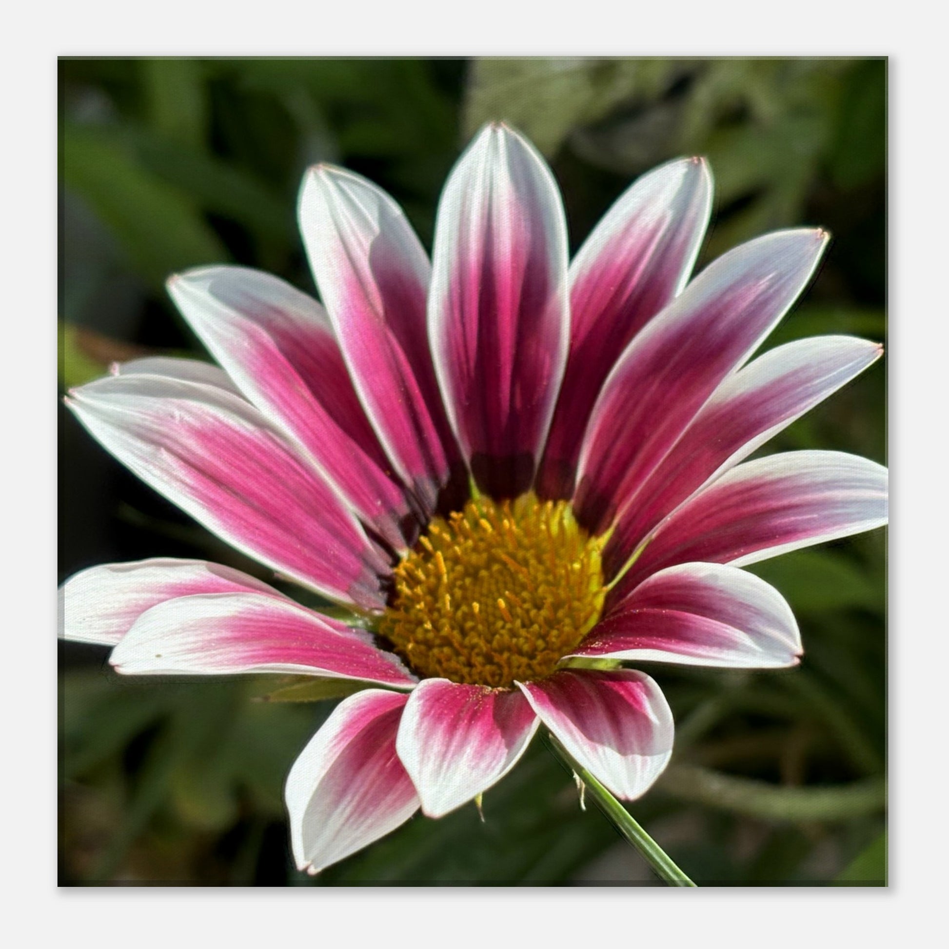 64d824bc-4b3b-4658-b669-ac6cf7e3e362