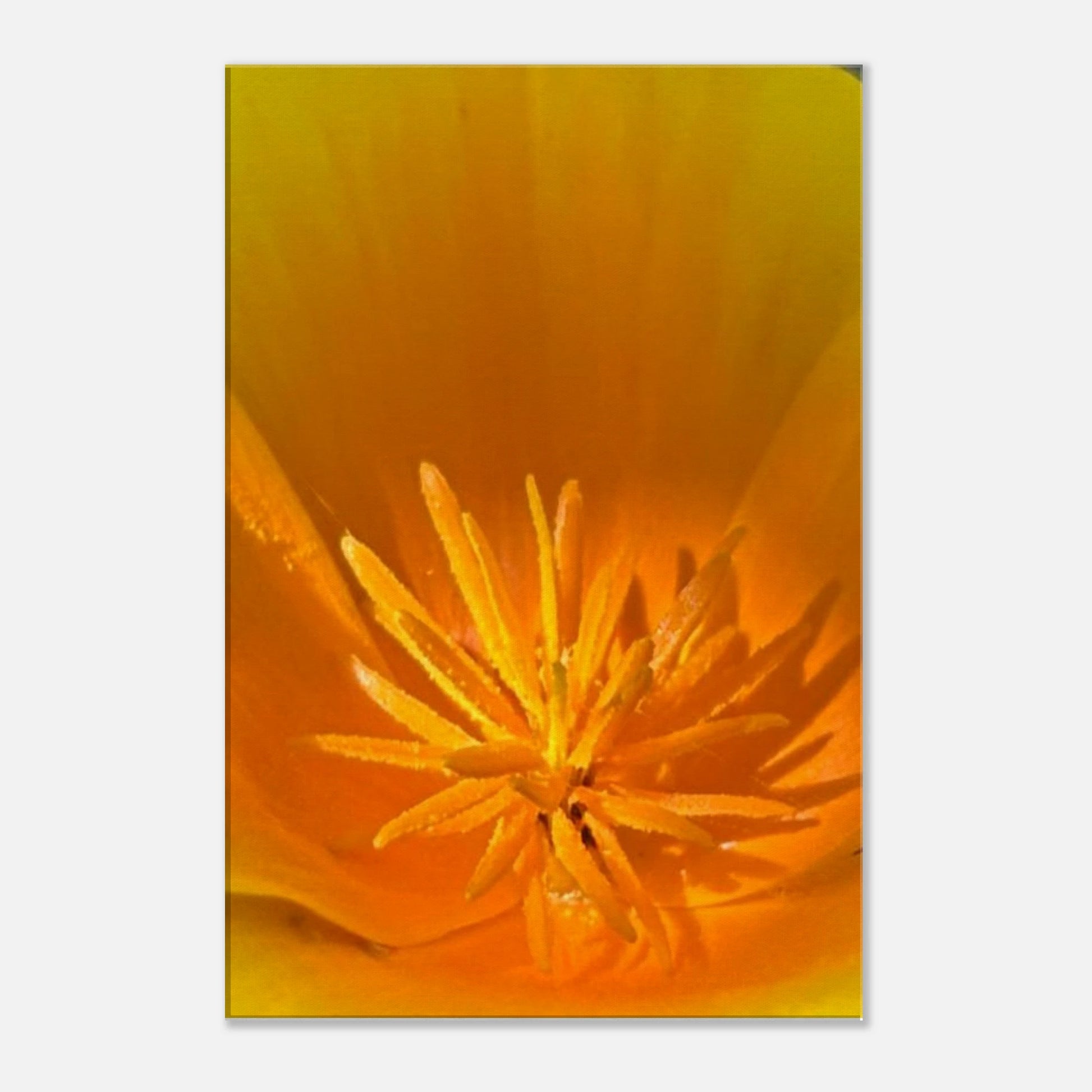 826f57d9-c88b-4978-9e93-cc122af709fb