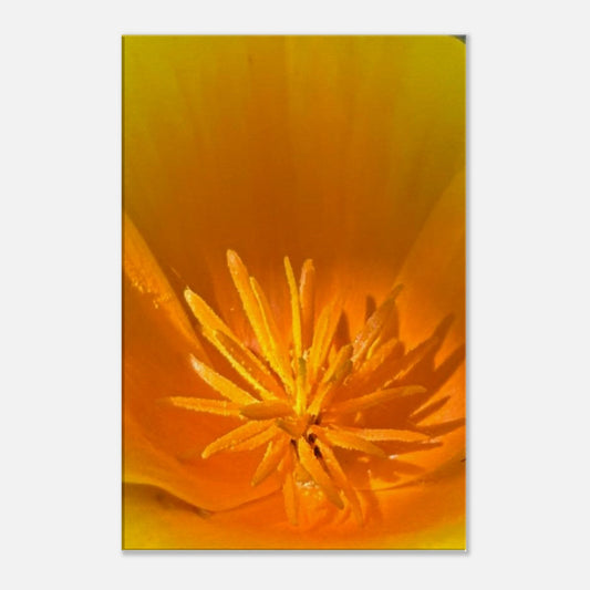 826f57d9-c88b-4978-9e93-cc122af709fb