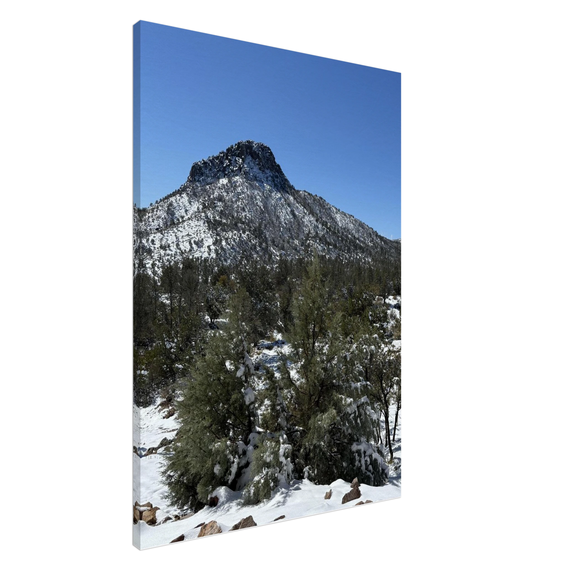 87ef4ff4-a467-41bb-b4aa-92a124cf7e06