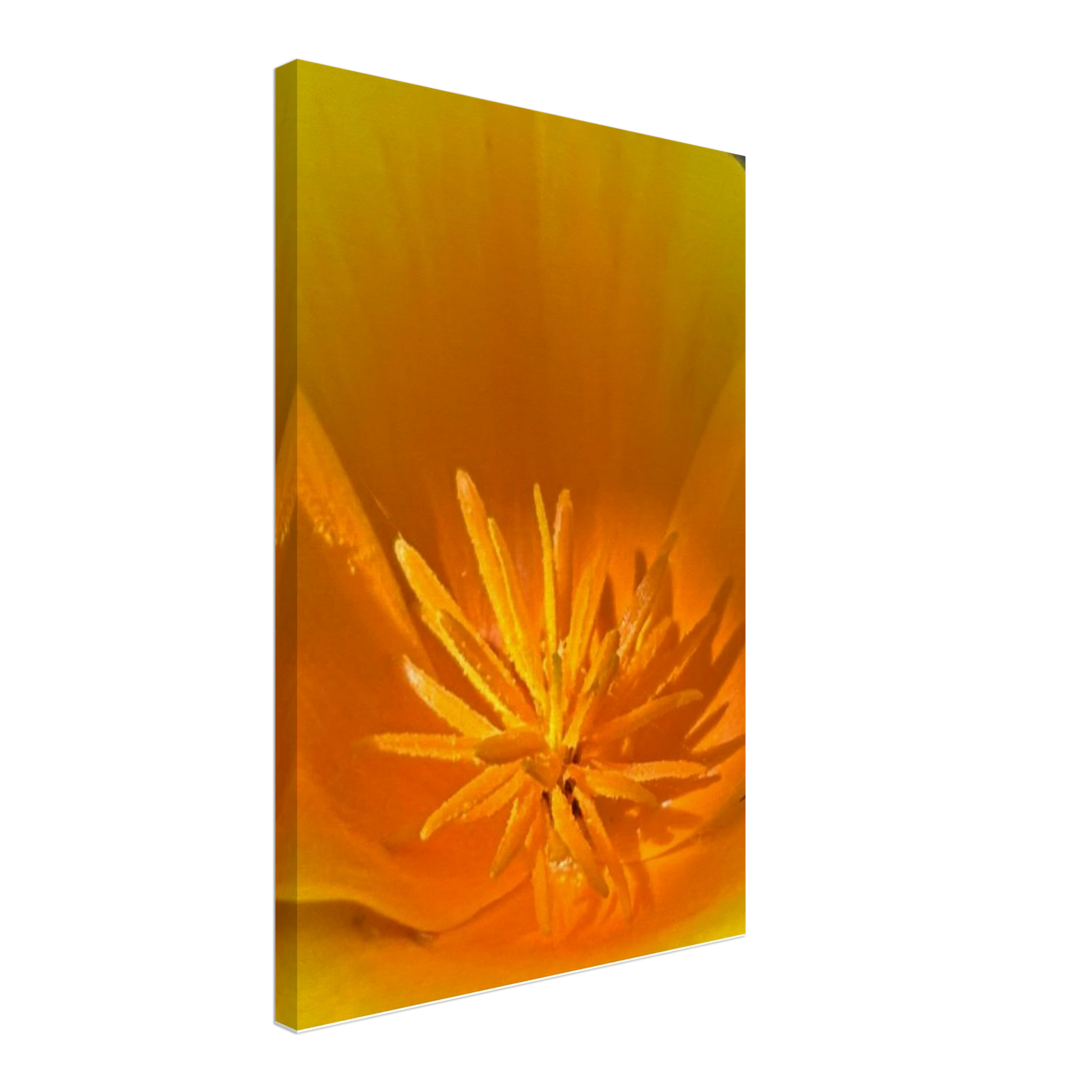 957da50c-7660-49b0-bc41-424de7bcdc84