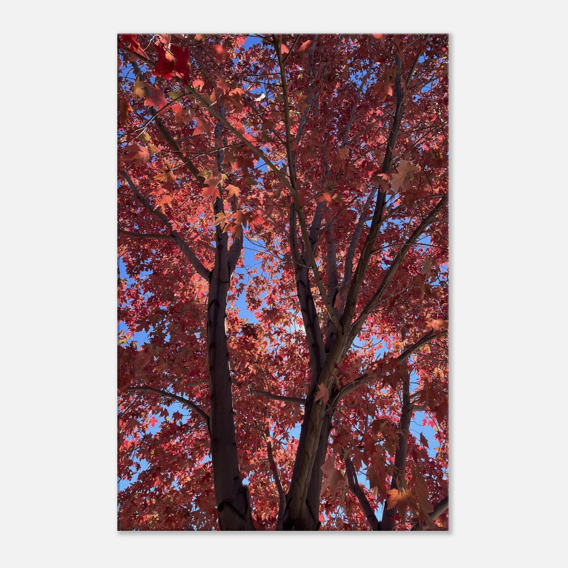 9eed24dd-ce11-4bfb-ad3c-4c9c68d71765