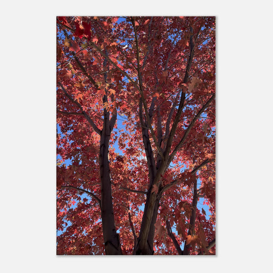 9eed24dd-ce11-4bfb-ad3c-4c9c68d71765