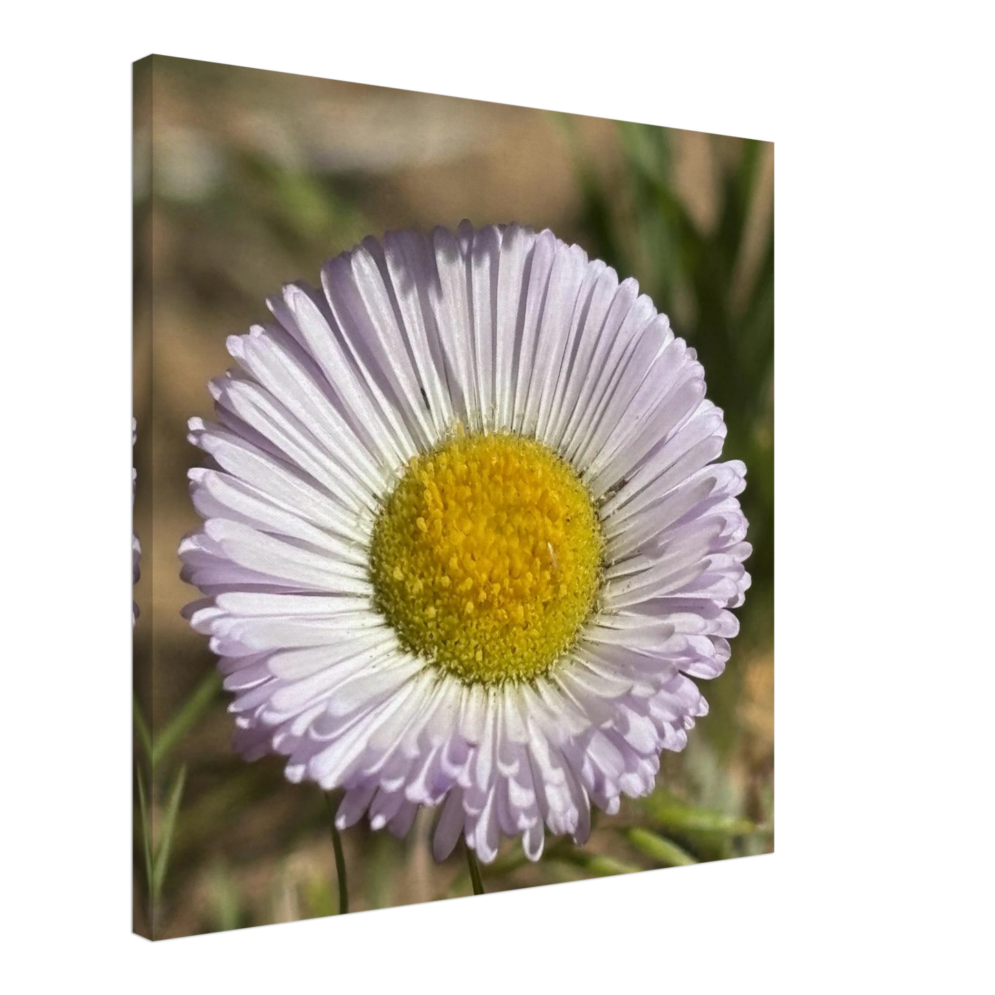 ad05ac42-920a-4e14-9a3d-60ef3c541e85