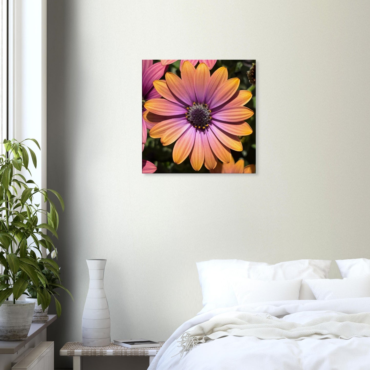 c3b41a39-a188-4071-b244-c63cf7fd0746