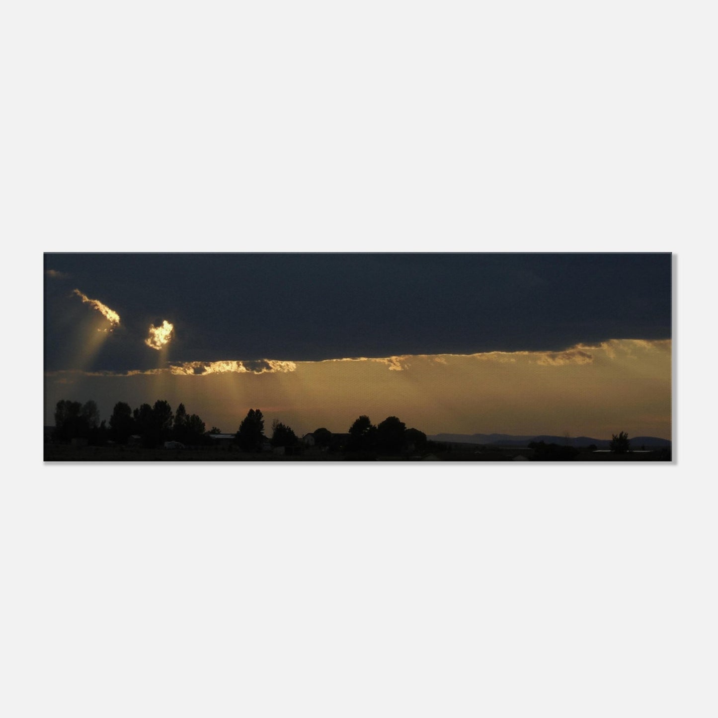d0c16a9e-4cd3-4059-af55-47c13b2b612e