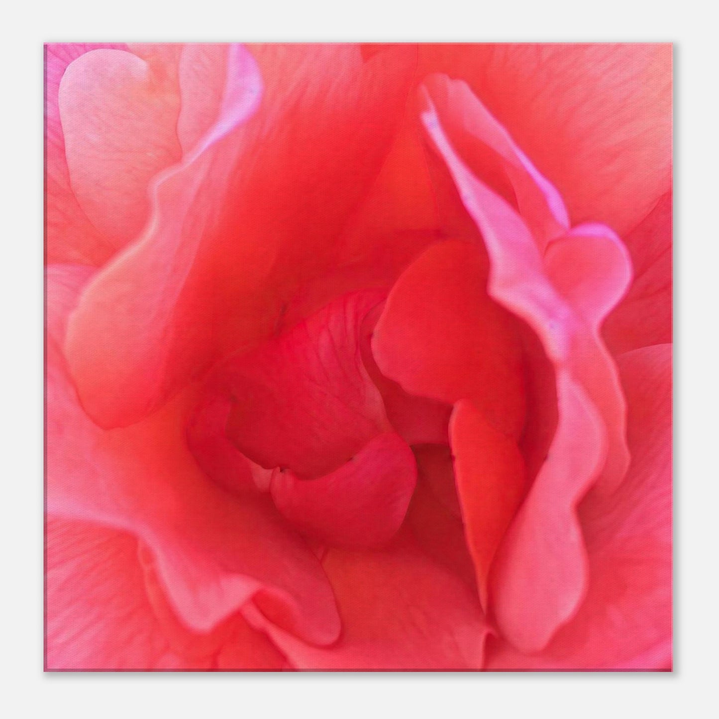 010cb957-ac59-4459-b190-a367e51bfedb