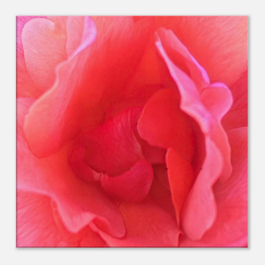 010cb957-ac59-4459-b190-a367e51bfedb