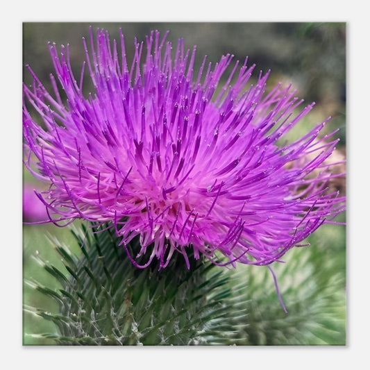 05a12715-825c-44c1-9c4d-661730ae3b60