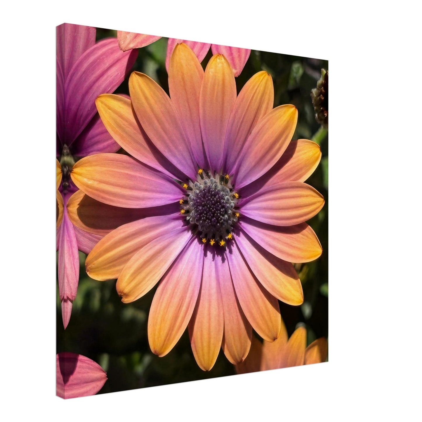 05e1c524-6474-4766-a766-ef9fc6ddda72