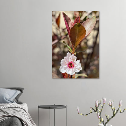 07c0ef1a-4555-414c-aa06-4727e706ad64