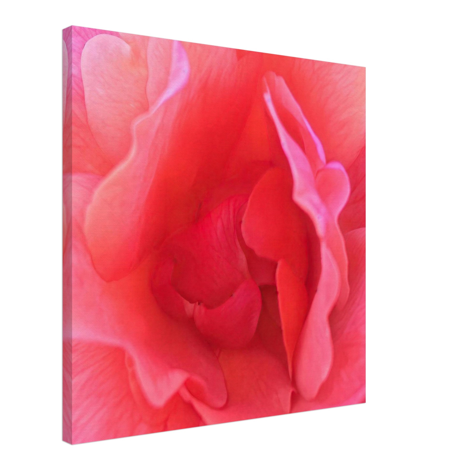 17c925a6-28b6-4905-9a5e-a68db33bcab4