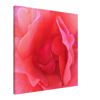 17c925a6-28b6-4905-9a5e-a68db33bcab4