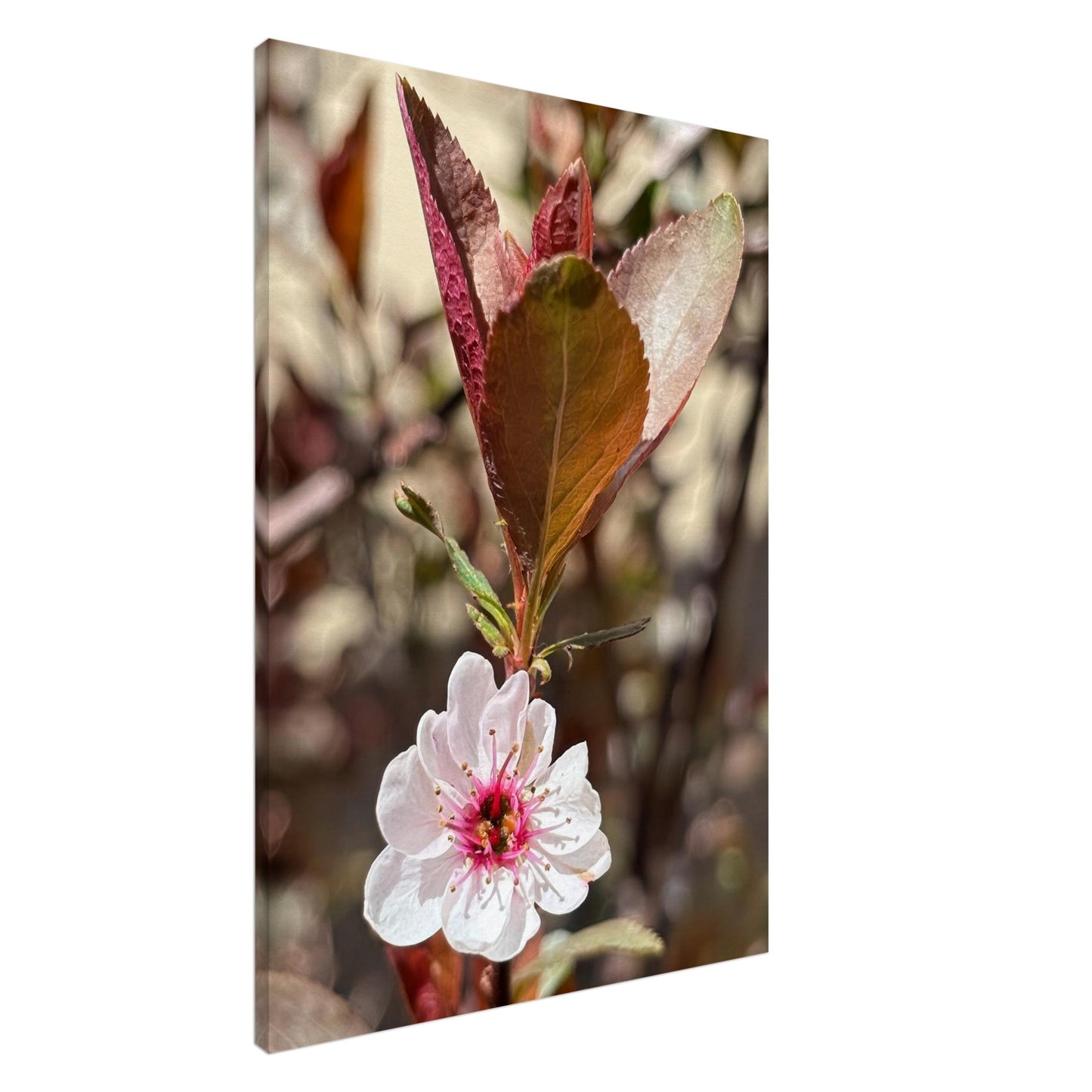 2d01452f-2d98-4174-bb92-c34877727c21