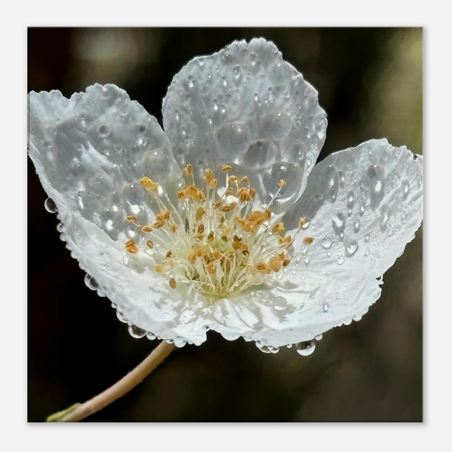 2dfba0ec-28b1-4dd0-8771-171b9e49df1a