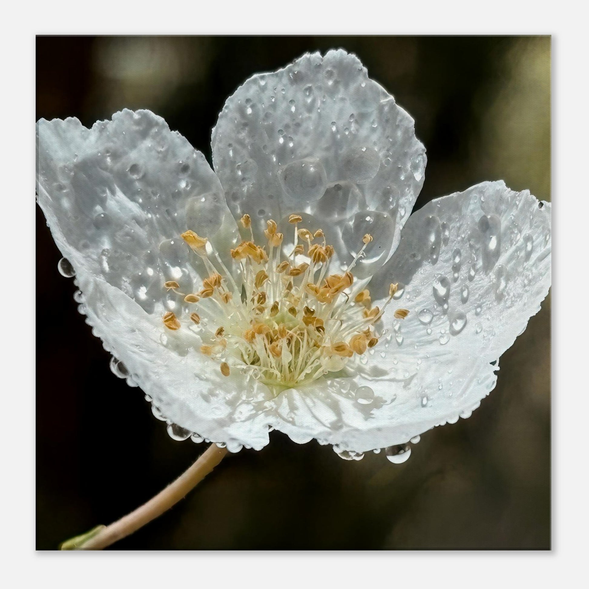 2dfba0ec-28b1-4dd0-8771-171b9e49df1a