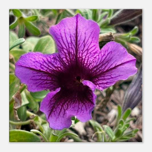 2dfd30c5-3777-4023-b5bf-8b58ddf482a8