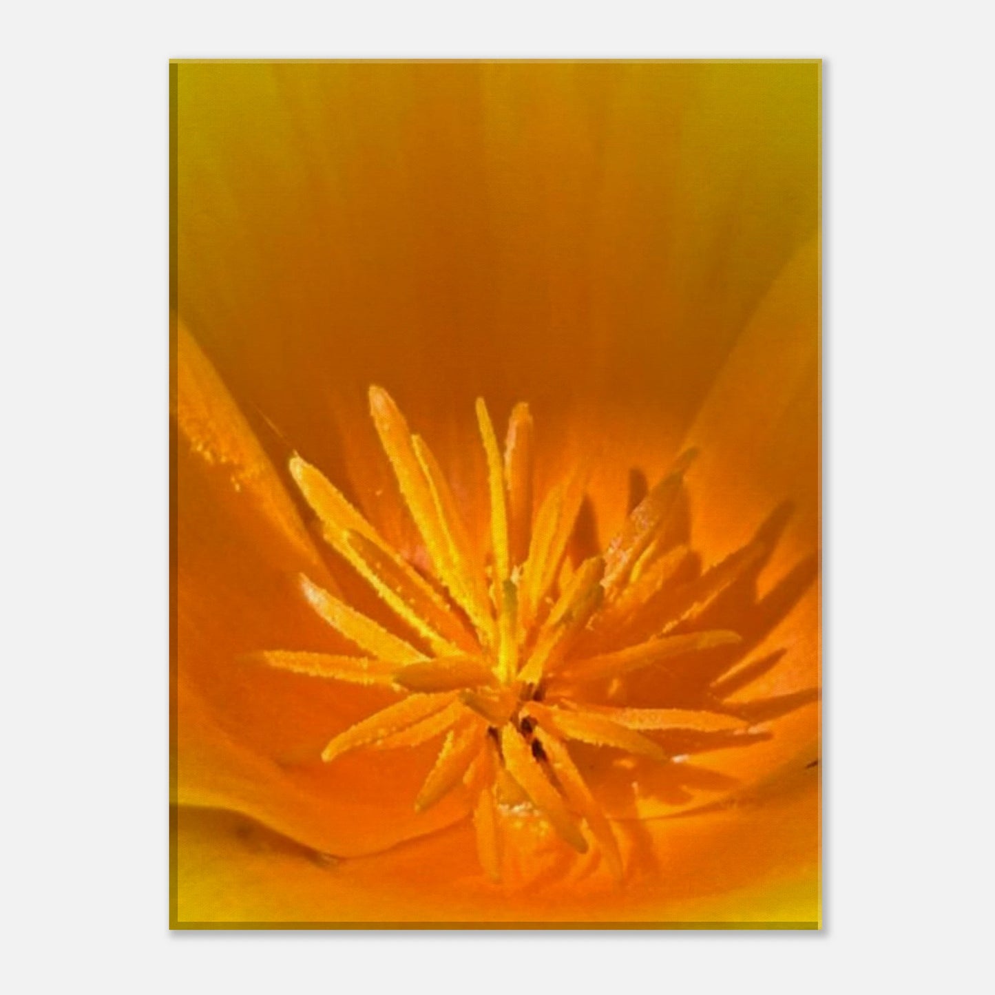 2ea52849-7138-4c63-9609-f4ec600cff79