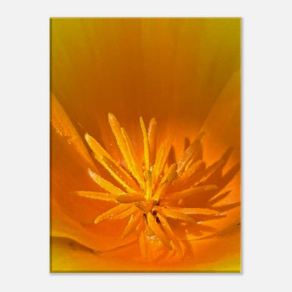 2ea52849-7138-4c63-9609-f4ec600cff79