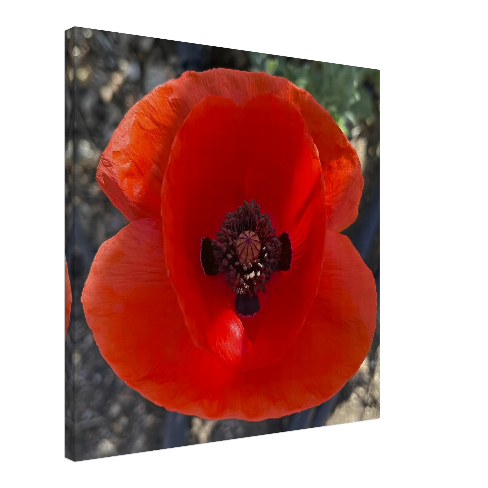 32416307-b23b-44aa-9461-355f6ad5fff9