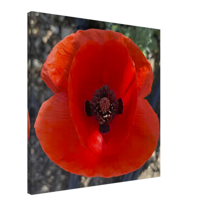 32416307-b23b-44aa-9461-355f6ad5fff9