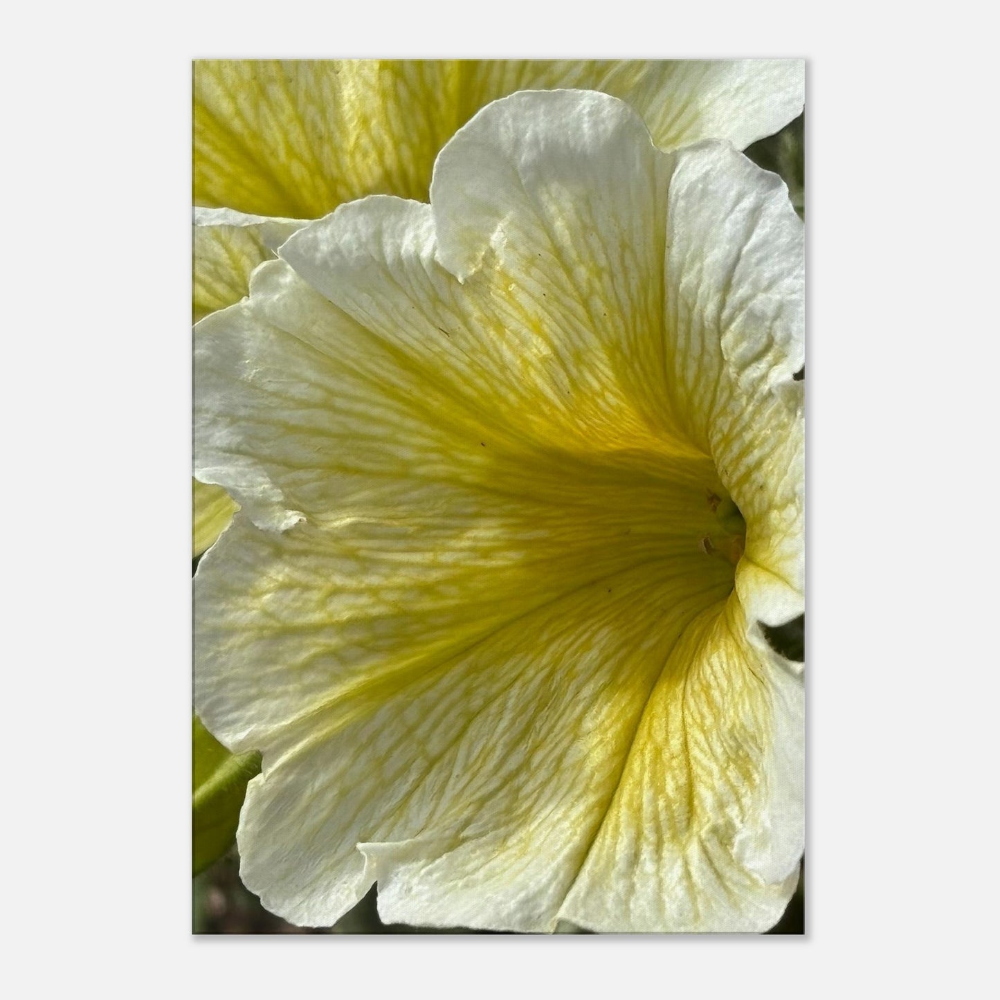 35caa8fc-e58e-4b63-9c28-2e79dfa333b6