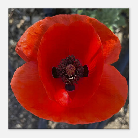 3c817cbe-50ef-4451-b7e7-e00ceb70f972