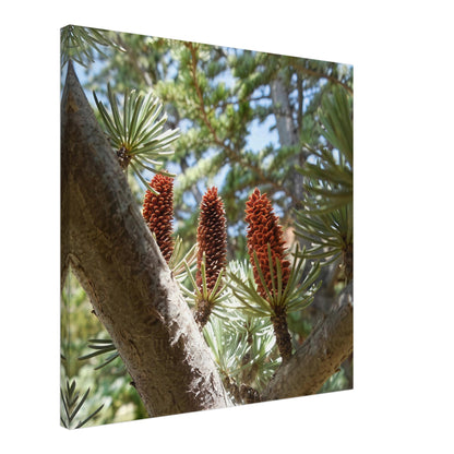 41fe191e-3c5d-496f-a04c-0304b2d10402