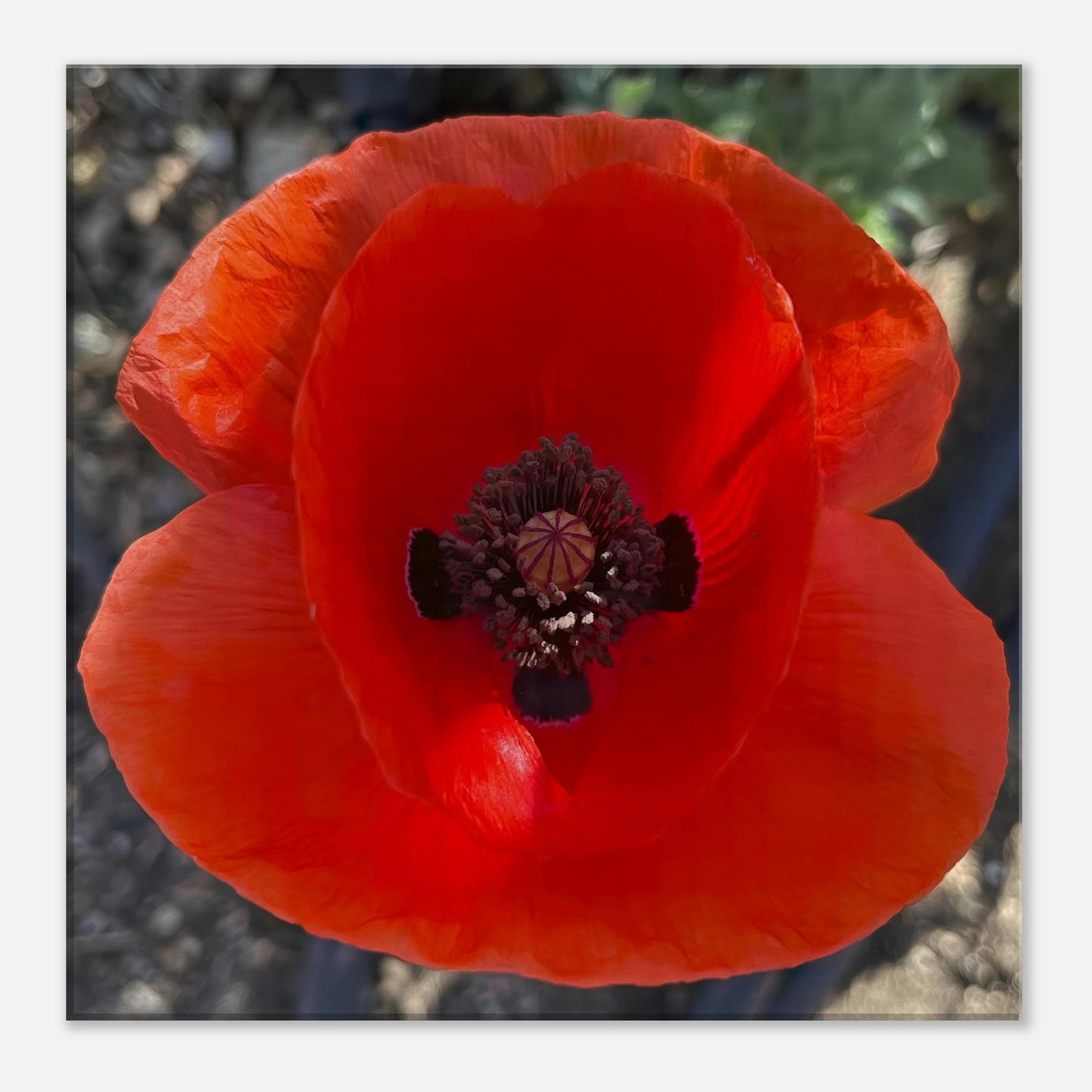 47a38c8c-24d8-43f5-a945-c96b79d22966