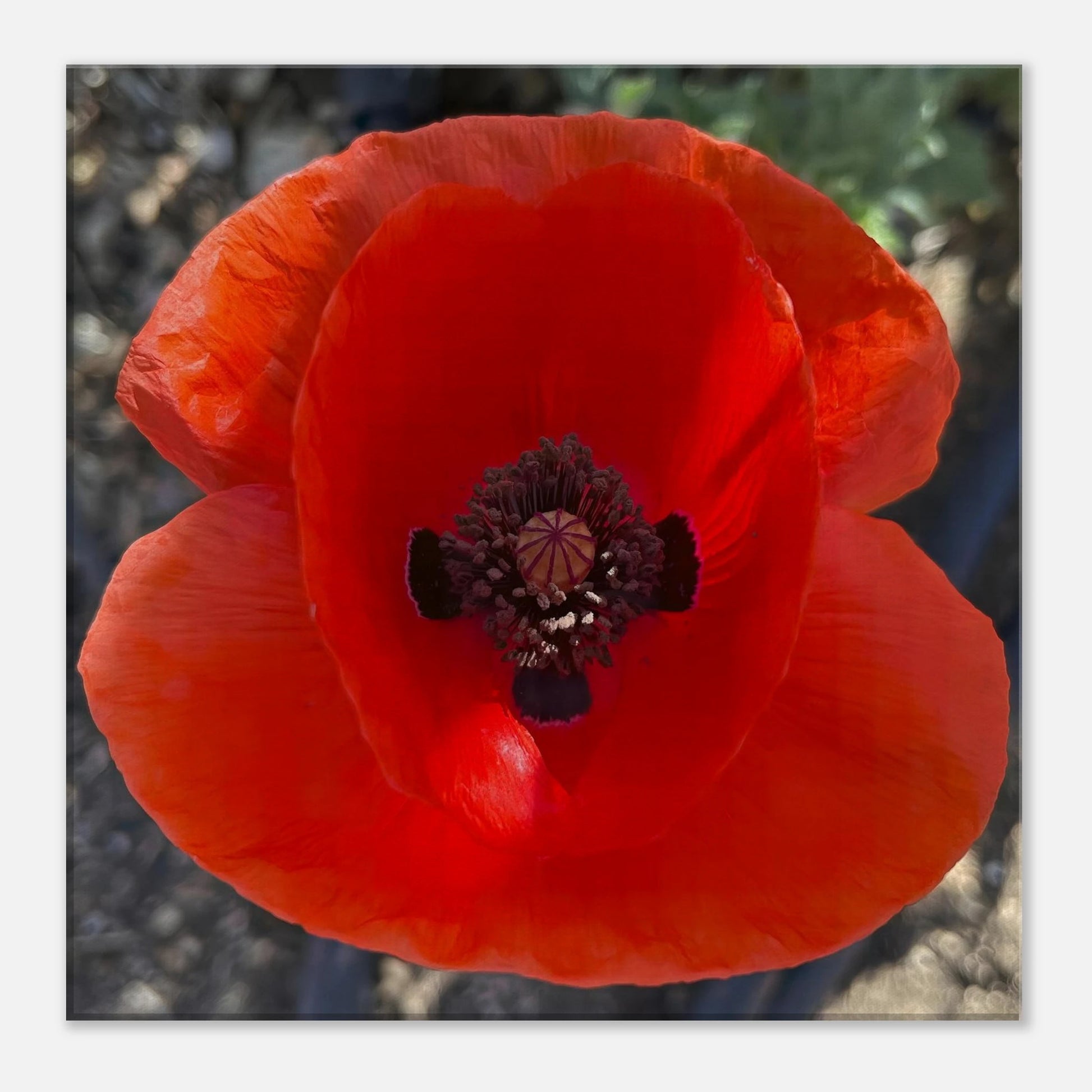 47a38c8c-24d8-43f5-a945-c96b79d22966