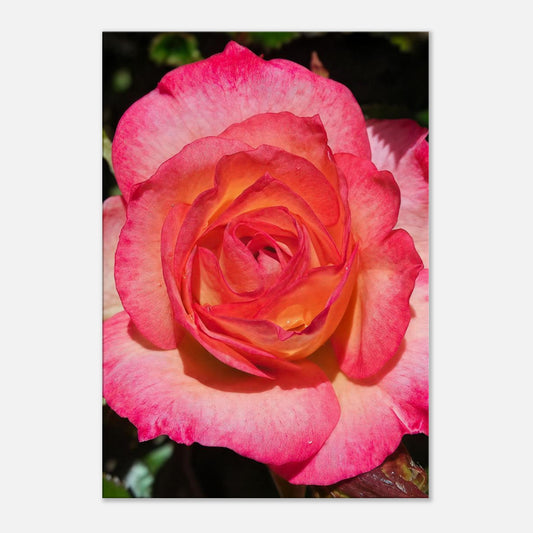 4c409f9e-8861-4825-a20d-79190c34dc3a