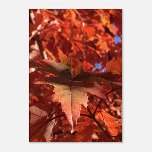 57bc4da5-1f1a-4a17-a7c6-57e78c78b547