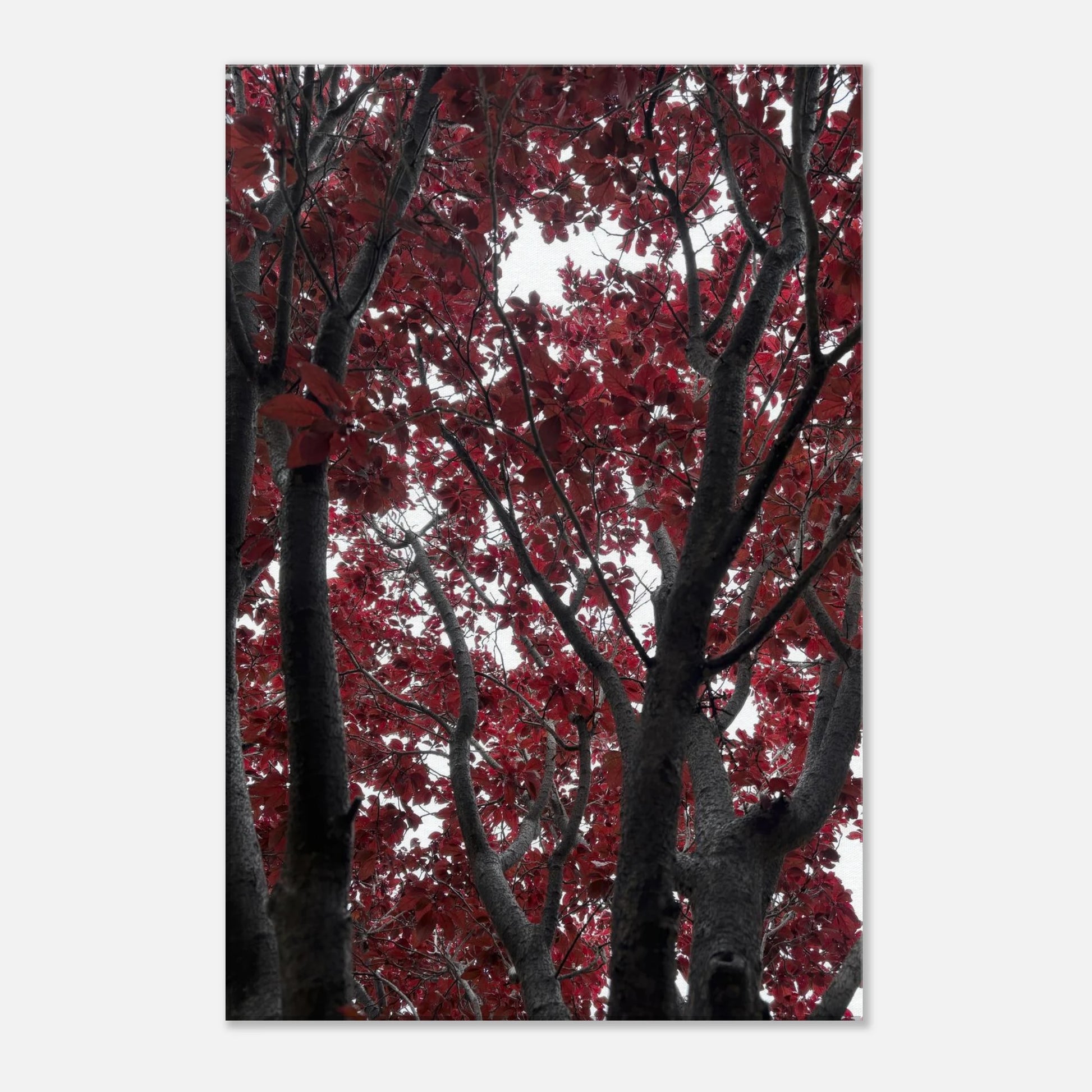 6289d893-576d-4cb3-b95c-7f5ebeaee1c5