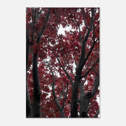 6289d893-576d-4cb3-b95c-7f5ebeaee1c5