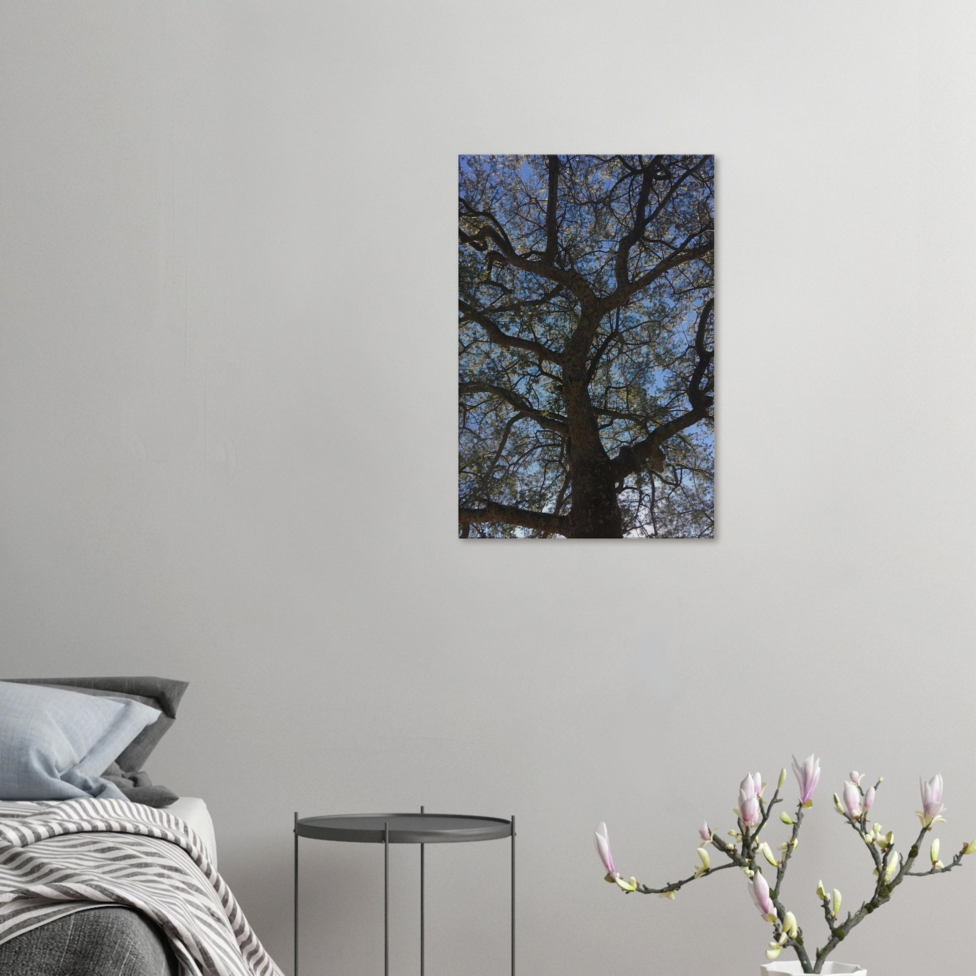 7233d735-7704-47a6-9038-62ba45943aa5