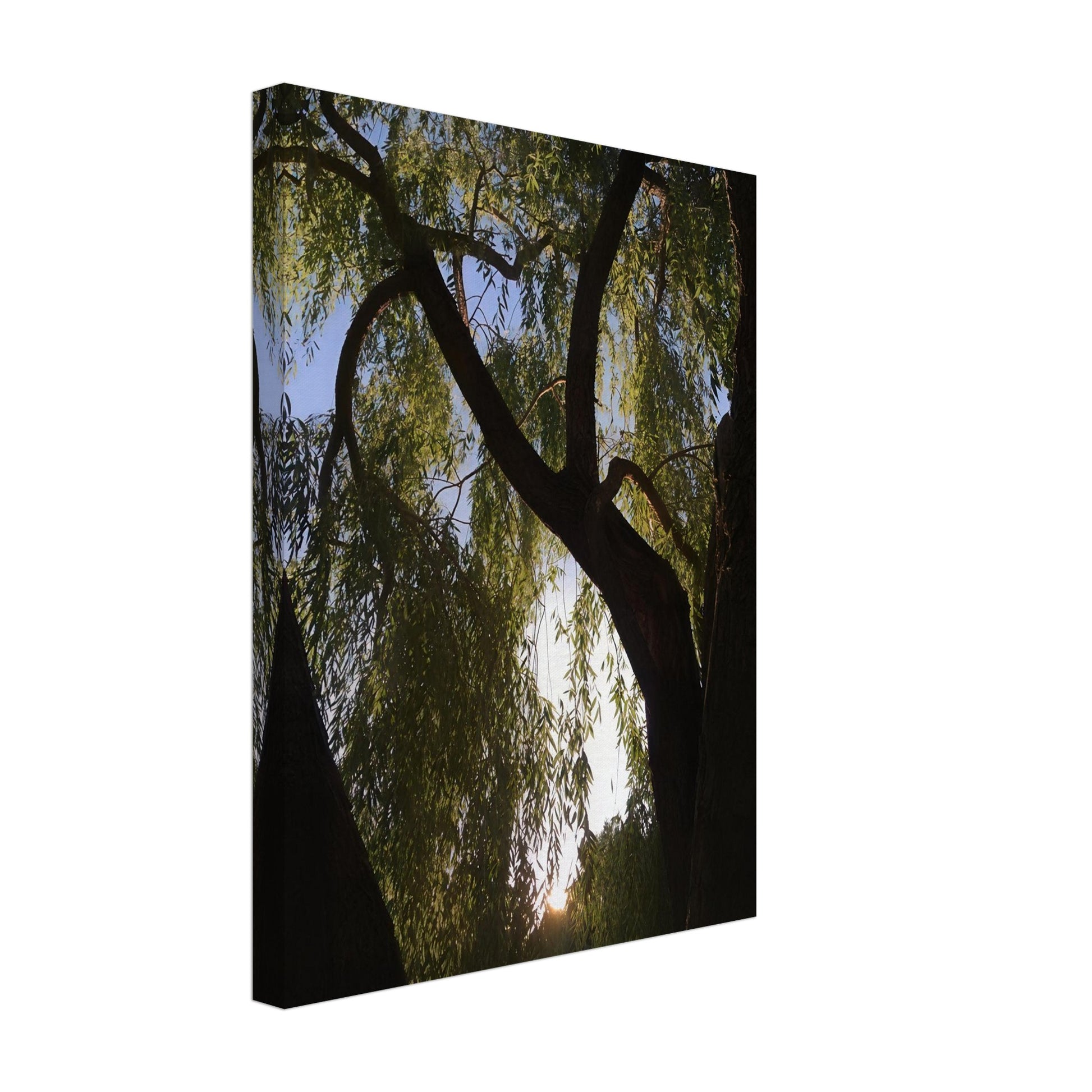 72c6558e-23ae-49ad-b25d-70a728726733