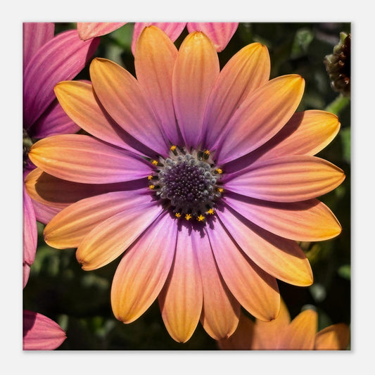 74dc9fa8-0342-4498-b3ce-ef2aa7eb0763