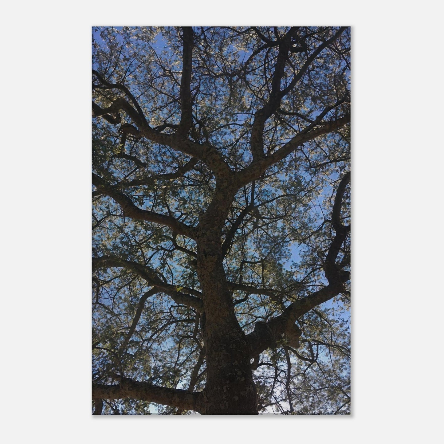 841c4f59-c797-4a05-b220-210a5a1a2862