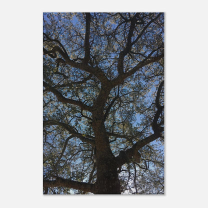 841c4f59-c797-4a05-b220-210a5a1a2862