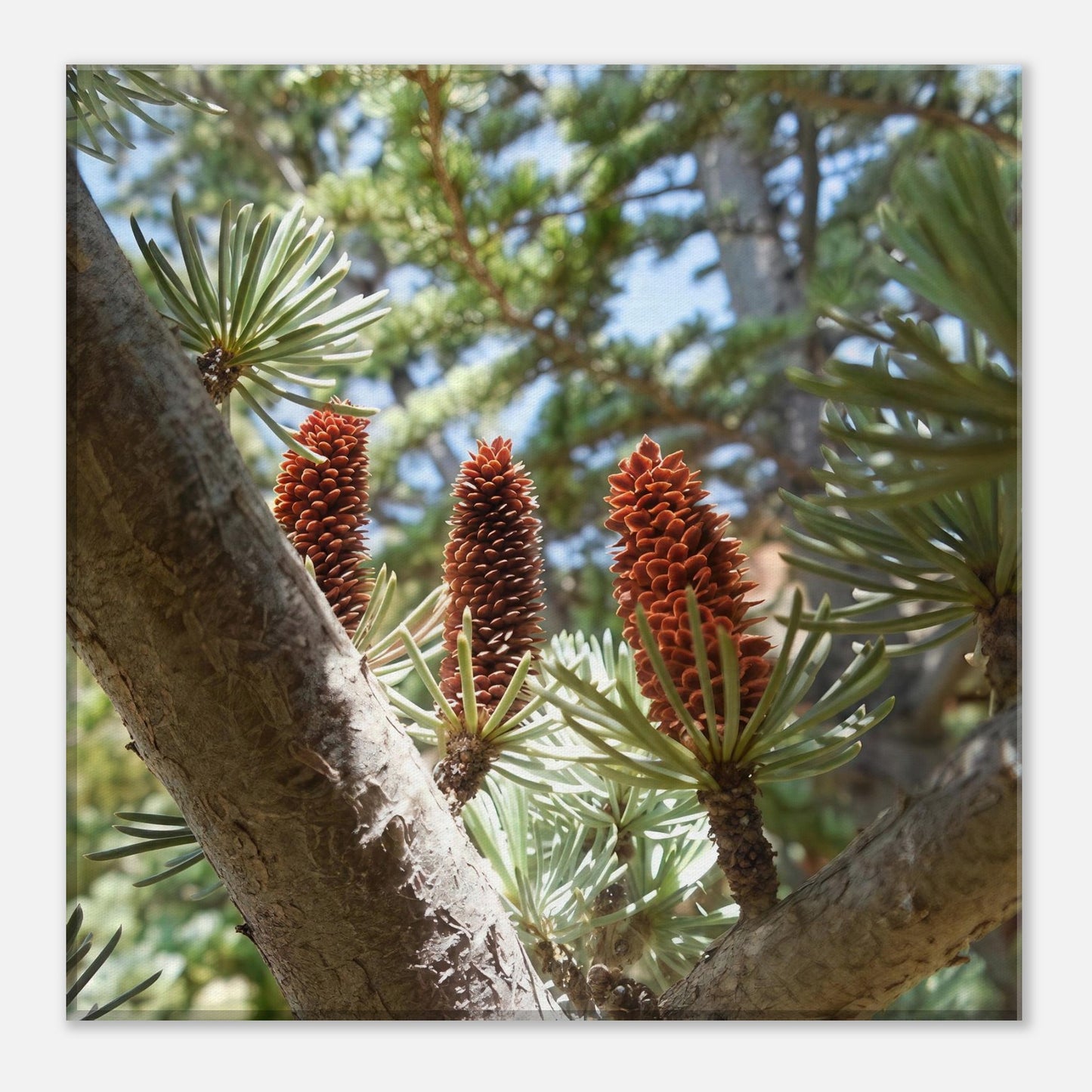 876bdb0a-e82a-45f1-be49-188055e30a12