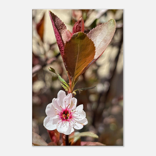 92657650-bb46-42ae-be28-c7e73d350513