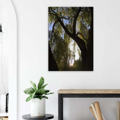 ad259d86-2220-4f79-9f64-3e61102ea18c