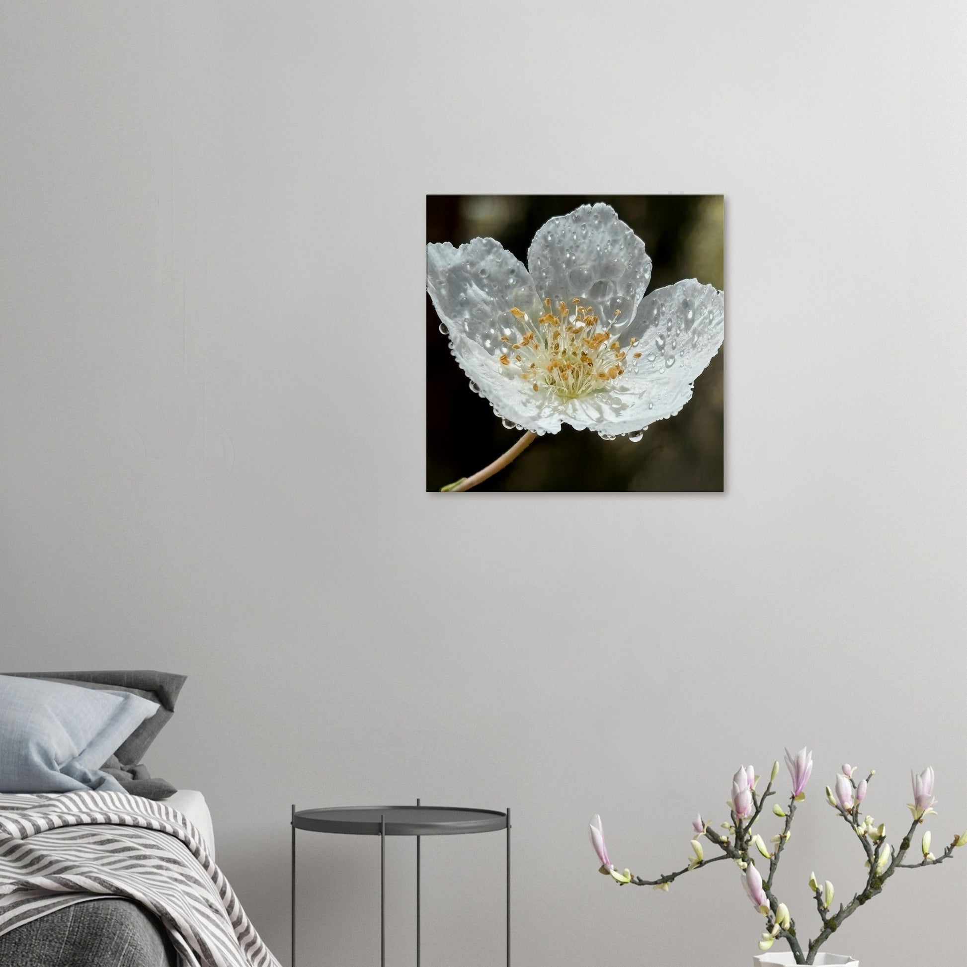 b81c9116-d0c2-4afc-84d6-b2344645838d