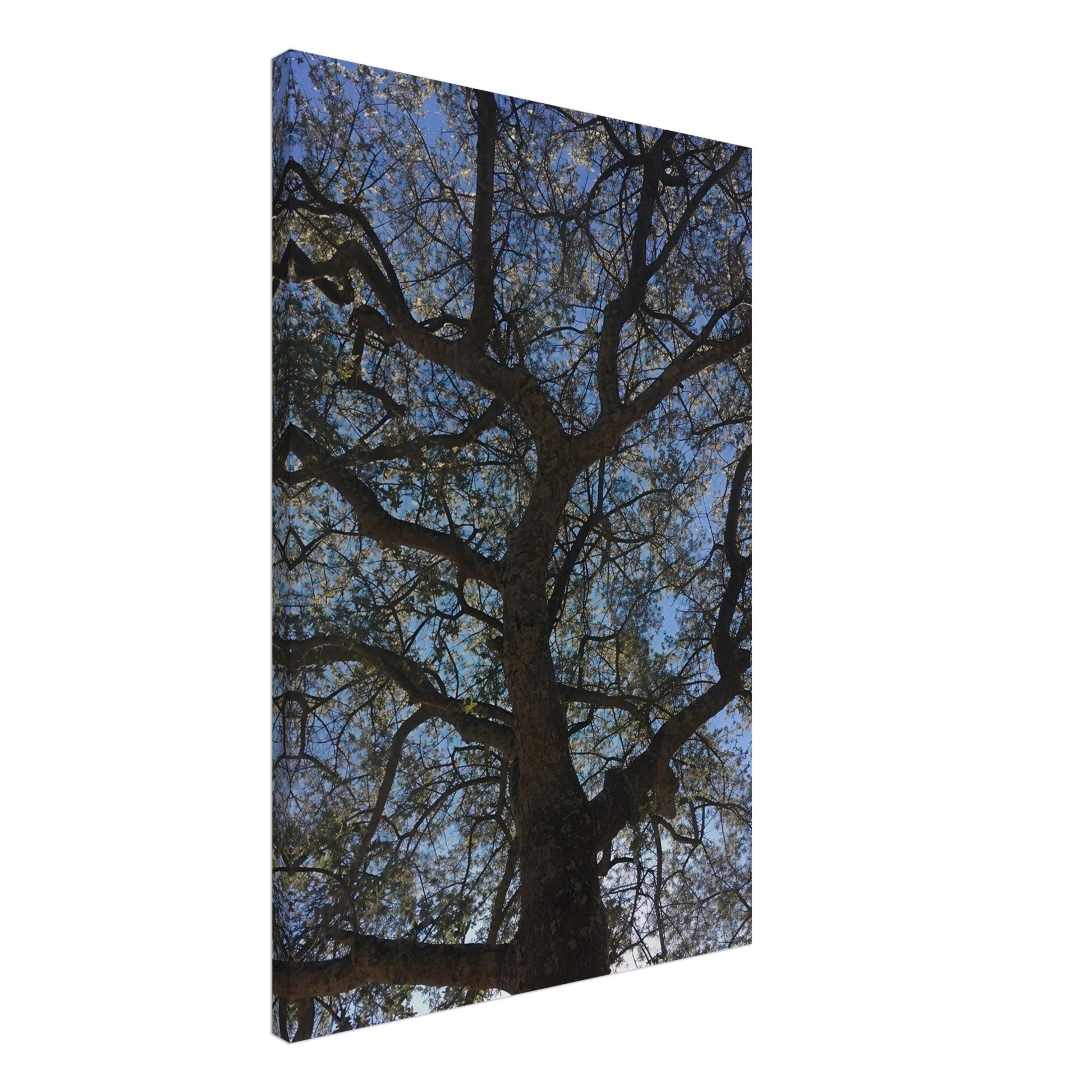 bf6d1718-0444-49e1-a91e-129d80f20ced